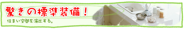 標準装備